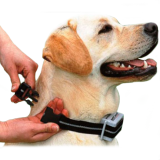 Электрический ошейник для собак крупных пород плюсы и минусы